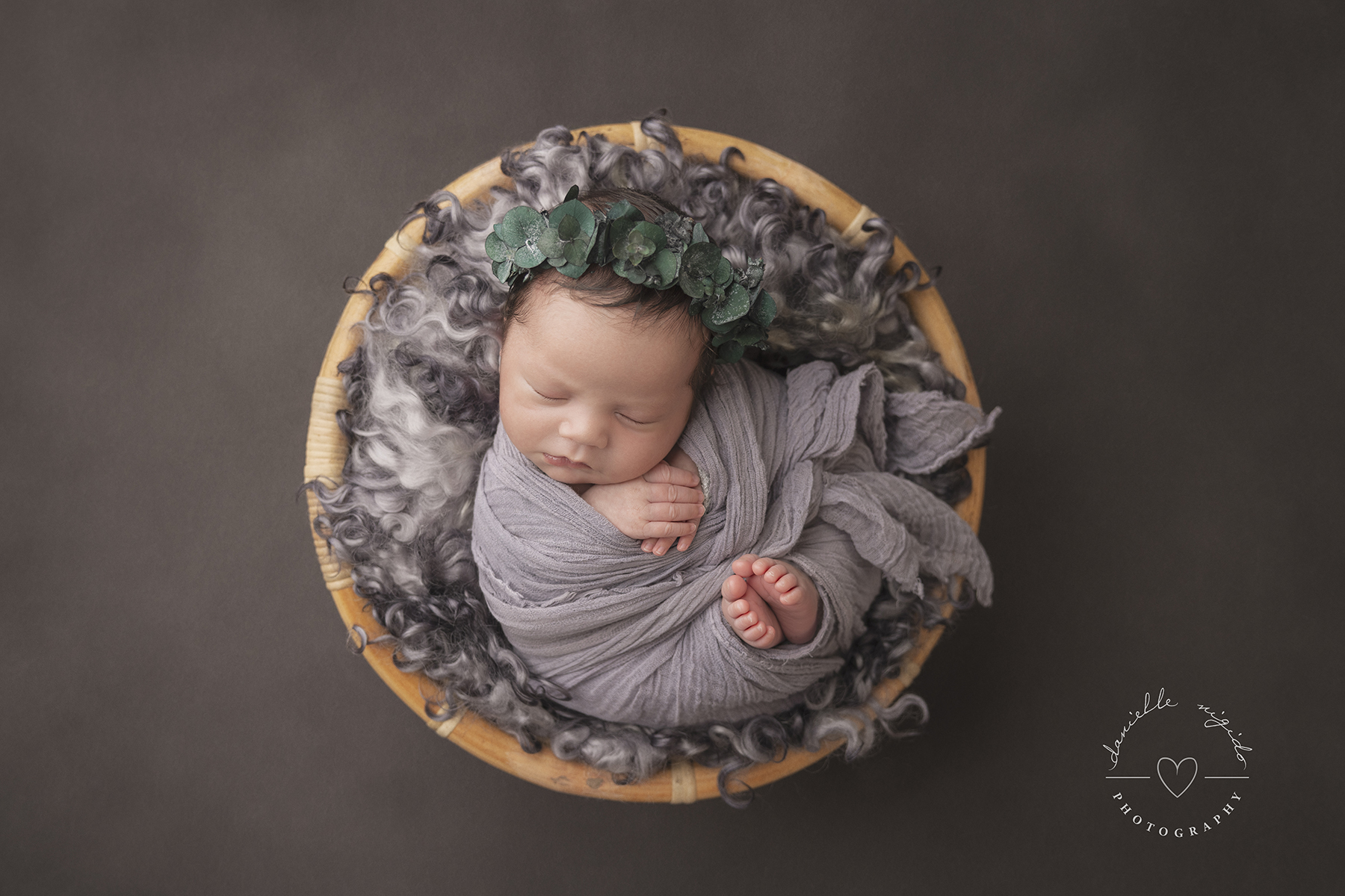 Melbourne professional newborn photos