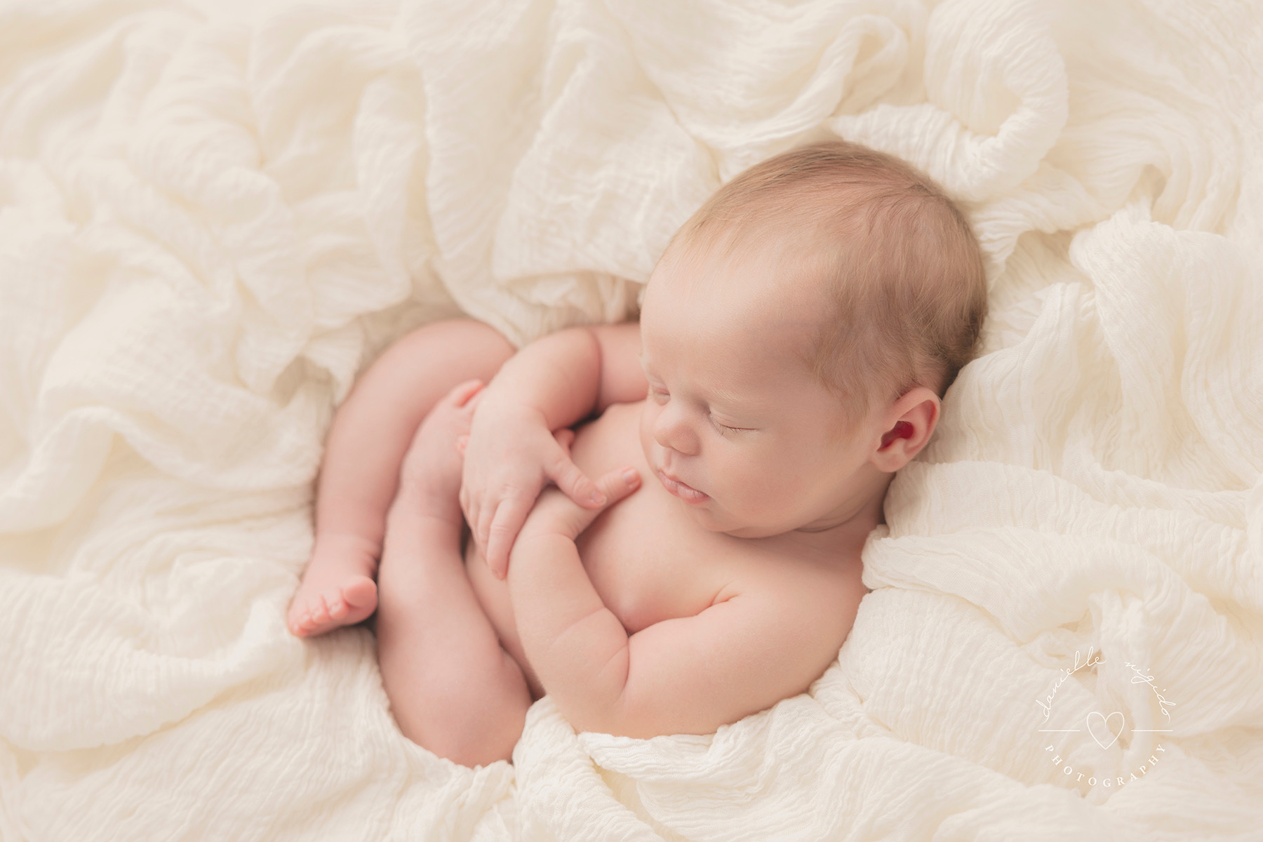 best newborn photos Melbourne